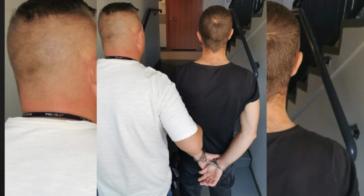Kronika kryminalna, Przewoził migrantów posługiwał podrobioną kartą pobytu - zdjęcie, fotografia