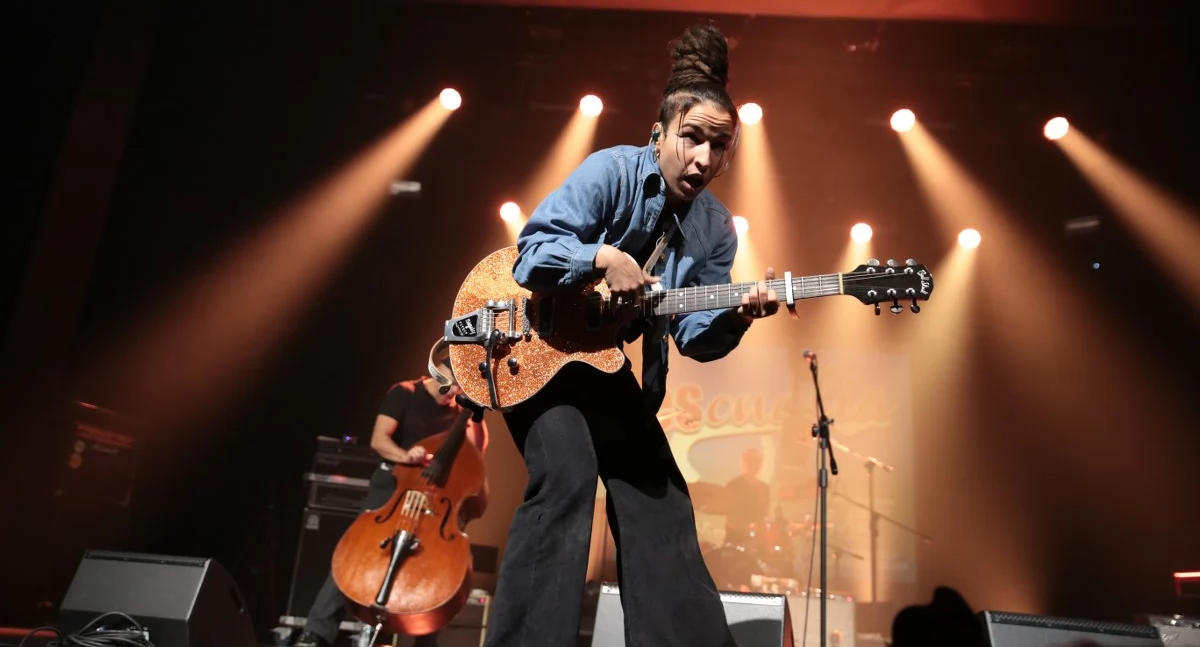 Koncerty, Międzynarodowy Festiwal Bluesonalia - zdjęcie, fotografia