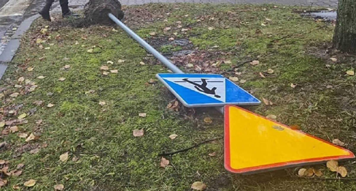 Komunikat Policji, Uwaga piesi kierowcy - zdjęcie, fotografia