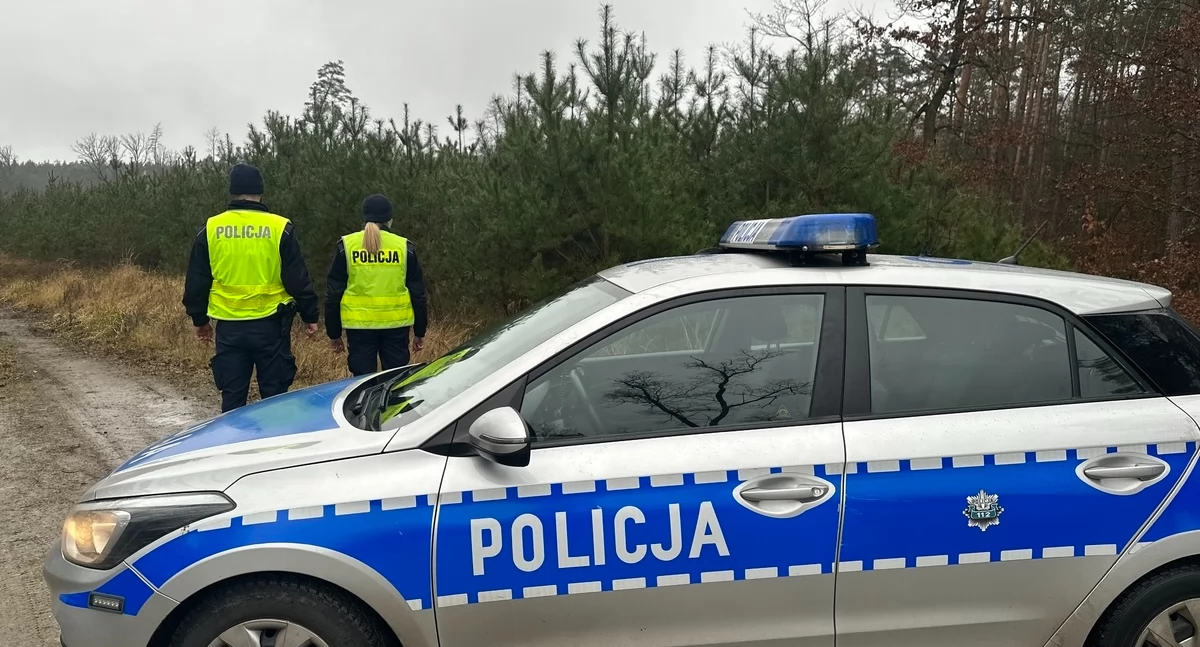 Komunikat Policji, Jeśli choinka tylko legalnego źródła! - zdjęcie, fotografia