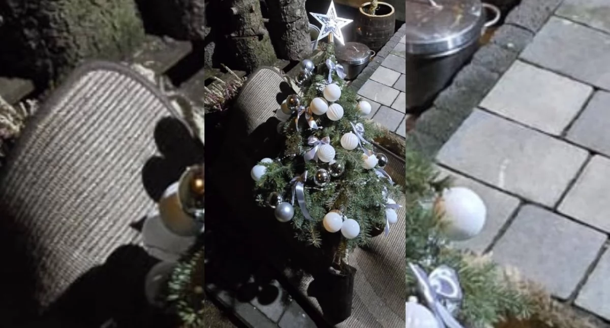 Kronika kryminalna, Cmentarna hiena zatrzymana - zdjęcie, fotografia