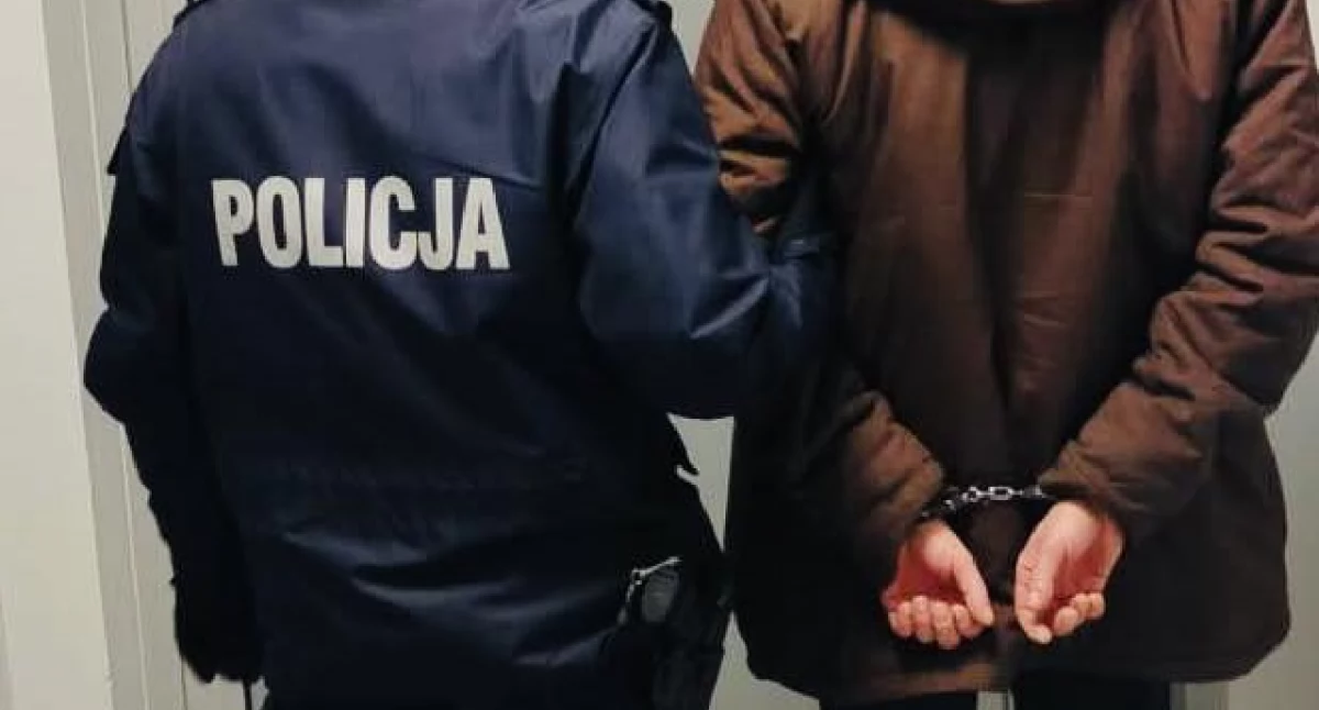 Kronika kryminalna, Siedem osób zatrzymanych akcji “Poszukiwany” - zdjęcie, fotografia