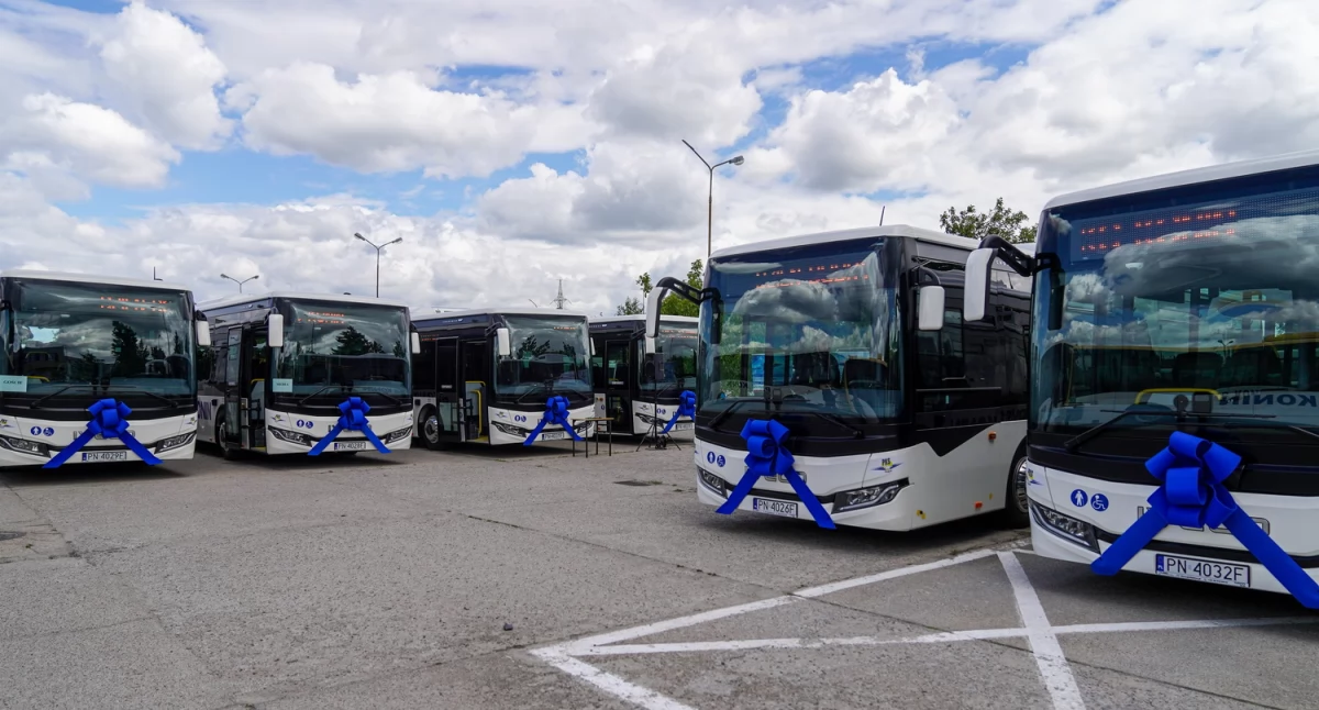Inwestycje, autobusy hybrydowe Koninie sześć Iveco zasiliło flotę - zdjęcie, fotografia