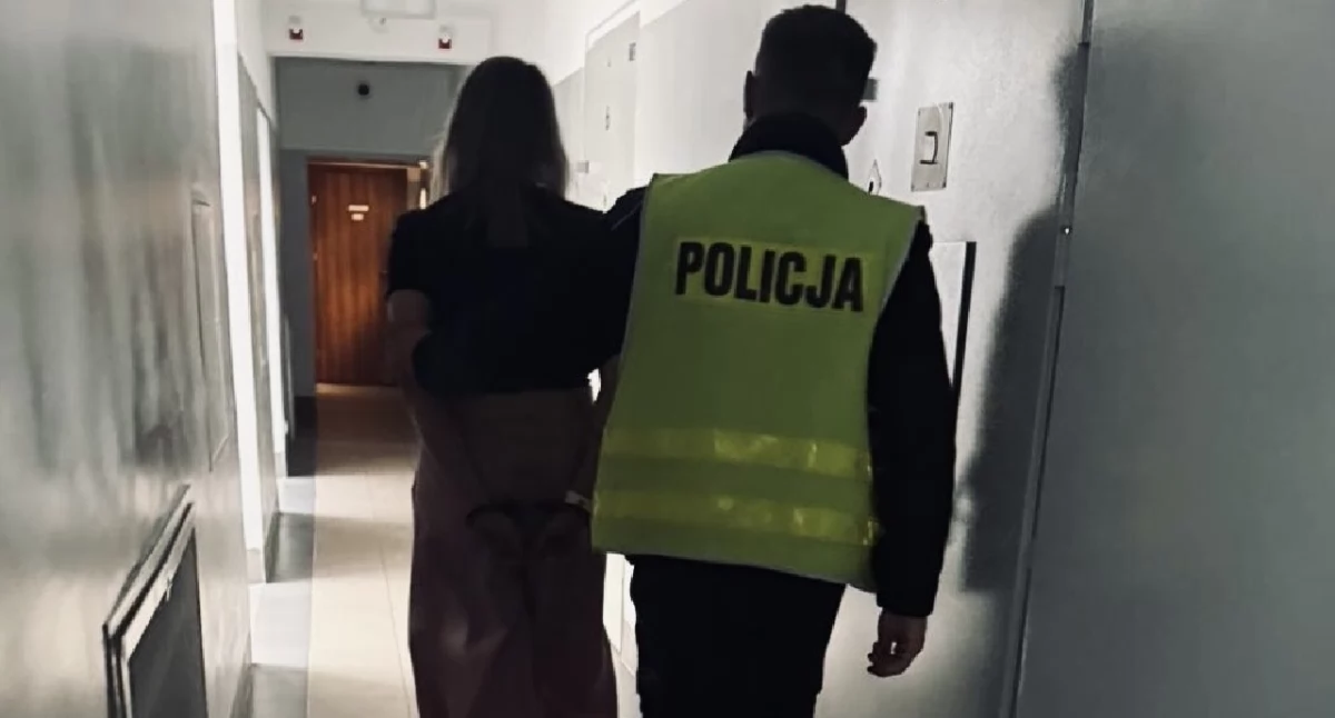 Komunikat Policji, Nietrzeźwa matka przewoziła dziecko miała ponad promila alkoholu - zdjęcie, fotografia