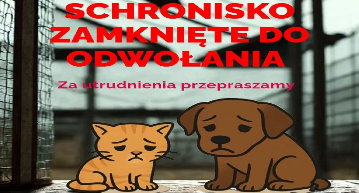 Komunikaty, Uwaga! Schronisko Koninie zamknięte odwołania - zdjęcie, fotografia
