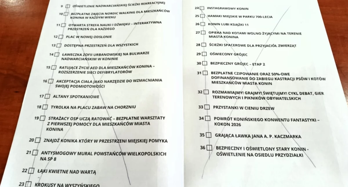 Atrakcje-Ciekawostki-Rekreacja, Patologia Konińskim Budżecie Obywatelskim Mieszkańcy alarmują możliwości wielokrotnego głosowania - zdjęcie, fotografia