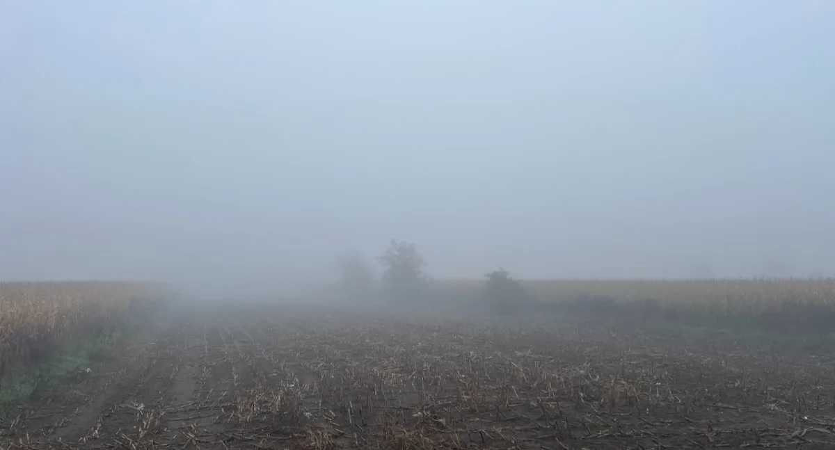 Pogoda, Gęste mgły regionie konińskim! Kierowcy zachowajcie ostrożność - zdjęcie, fotografia