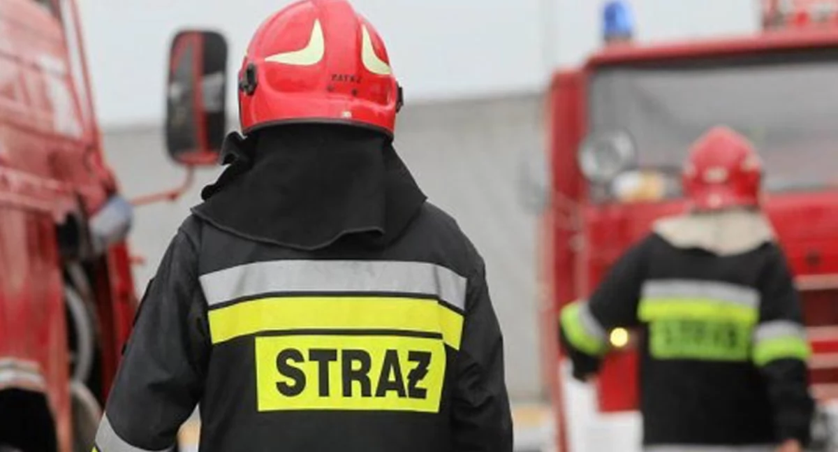 Pożary straż pożarna, Tragiczny pożar altany Koninie wewnątrz znaleziono zwęglone ciało - zdjęcie, fotografia
