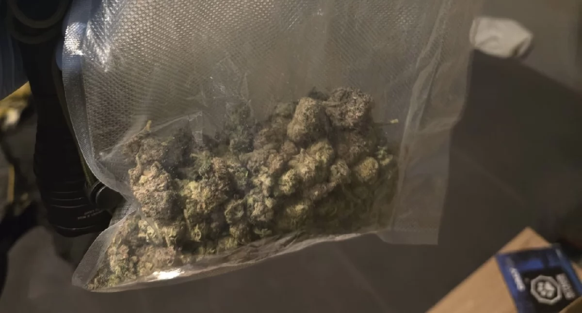 Kronika kryminalna, Zatrzymania narkotyki powiecie tureckim marihuana mefedron ponad gotówki policja działa - zdjęcie, fotografia