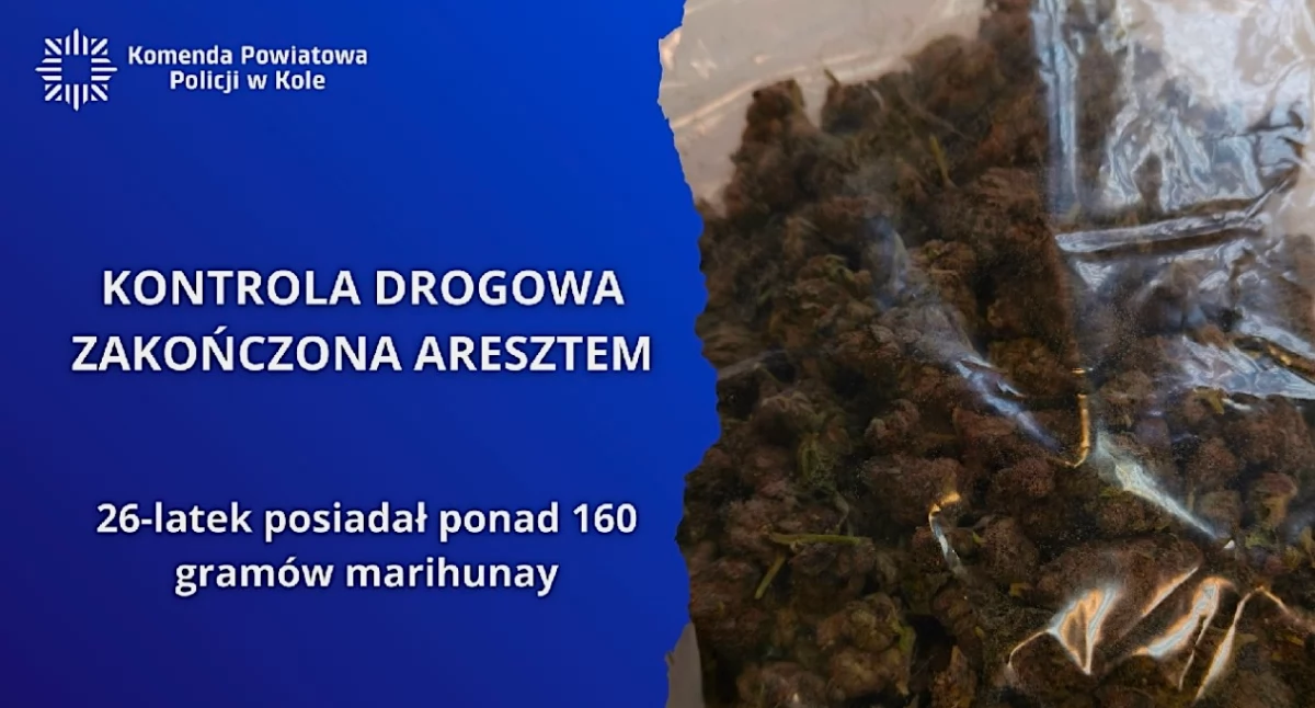 Kronika kryminalna, Zatrzymanie latek ponad marihuany tymczasowo aresztowany - zdjęcie, fotografia