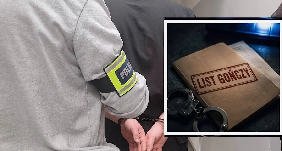 Kronika kryminalna, Poszukiwani zatrzymani Skuteczne działania policji Koninie regionie - zdjęcie, fotografia