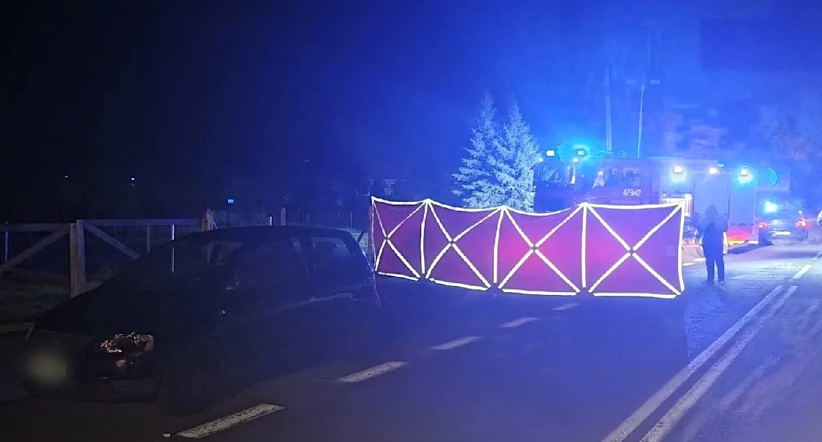 Śmiertelne potrącenie w Ruszkowie Drugim