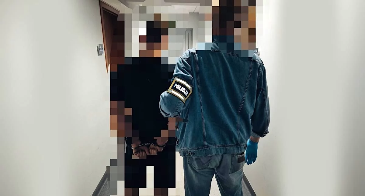 Kronika kryminalna, Brutalny rozbój Koninie latek zaatakował kobietę kastetem zdecydował areszcie - zdjęcie, fotografia
