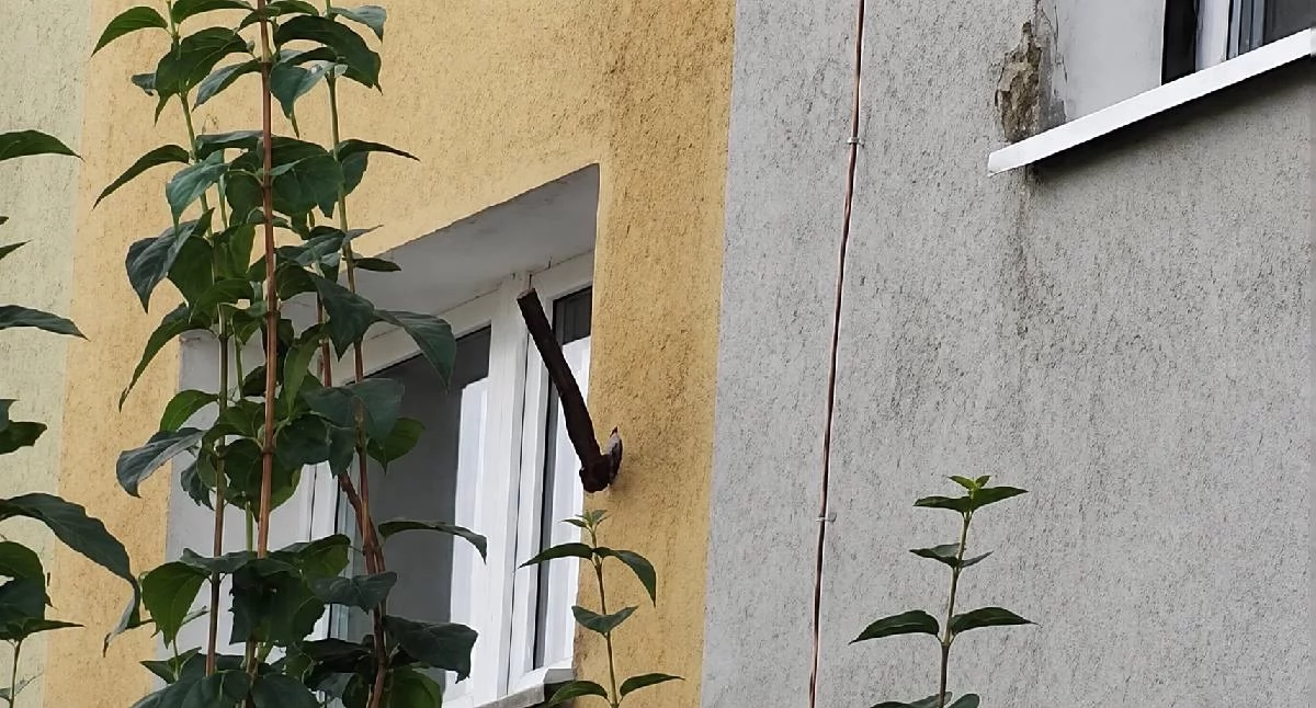 Kronika kryminalna, „Boimy wyjść Siekiera wbiła elewację bloku” dramatyczny mieszkańców Konina - zdjęcie, fotografia