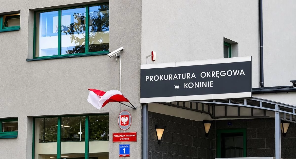 Sądy, latek gminy Witkowo trafił aresztu podejrzany siedem przestępstw wobec małoletnich - zdjęcie, fotografia