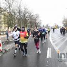 zdjęcie nr 277