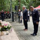 zdjęcie nr 14
