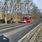 Fotka nr 1 z 5