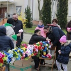 zdjęcie nr 12