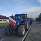 zdjęcie nr 8