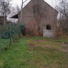 IMG-5353