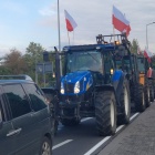 zdjęcie nr 14