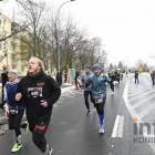 zdjęcie nr 240