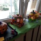 Pantofelek 5