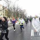 zdjęcie nr 287