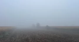 Gęste mgły w regionie konińskim! Kierowcy, zachowajcie ostrożność