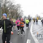 zdjęcie nr 264