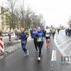 zdjęcie nr 278
