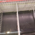 89777111_2728777530582353_3711073565919936512_n