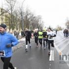 zdjęcie nr 283