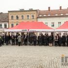zdjęcie nr 11