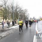 zdjęcie nr 301