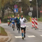 zdjęcie nr 31