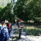 331-283467