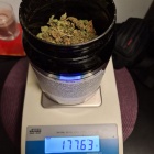 317-292085