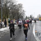 zdjęcie nr 455