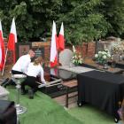 zdjęcie nr 7