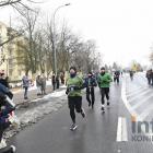 zdjęcie nr 288