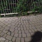104579888_1931353456999493_1844248592549953279_n