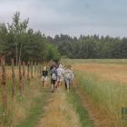 zdjęcie nr 29
