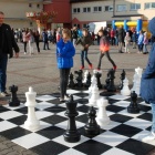 zdjęcie nr 7