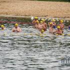 zdjęcie nr 15