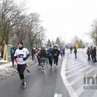zdjęcie nr 260