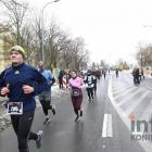 zdjęcie nr 293