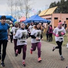 zdjęcie nr 14