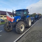 zdjęcie nr 10